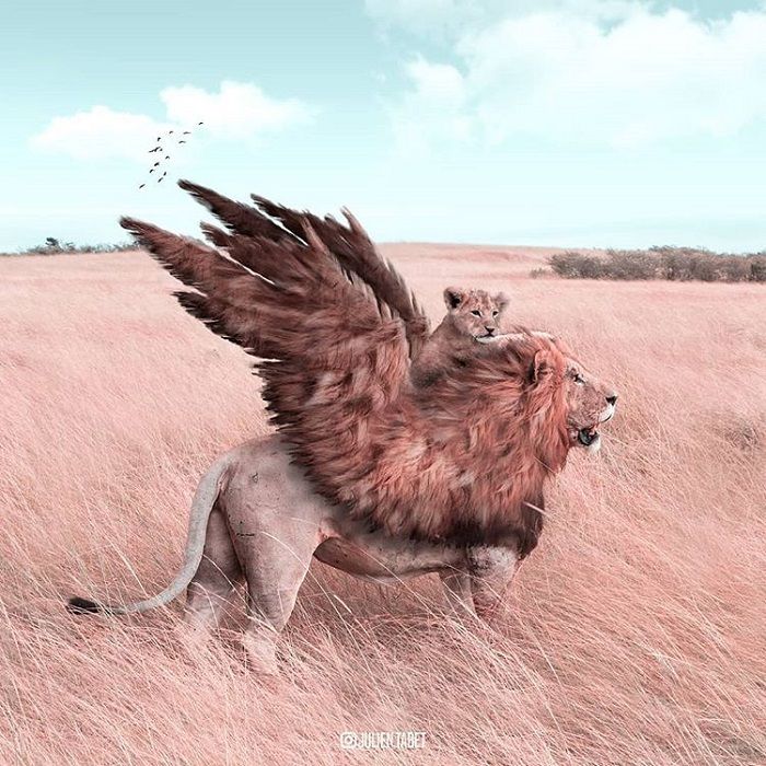Fotomontajes de animales en photoshop Diseñoscreativos.com